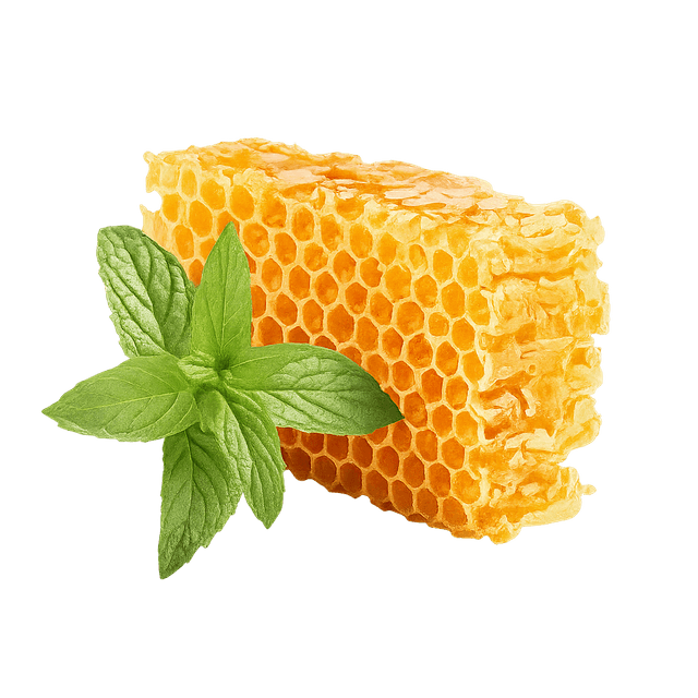 Honeycomb with mint leaves