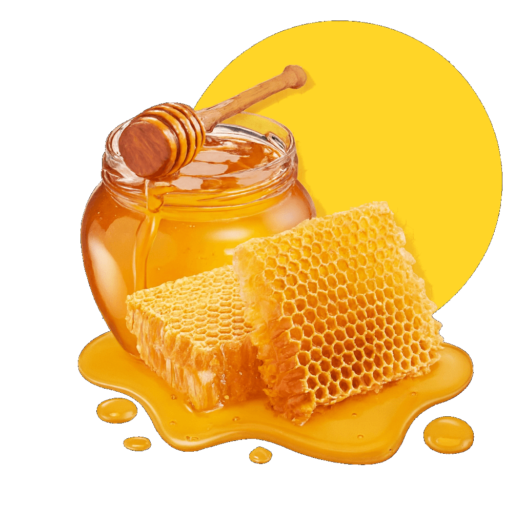 A jar of honey with a wooden dipper, beside two pieces of honeycomb